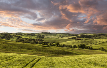 Fototapeta na wymiar Rural landscape, Tuscany, Italy