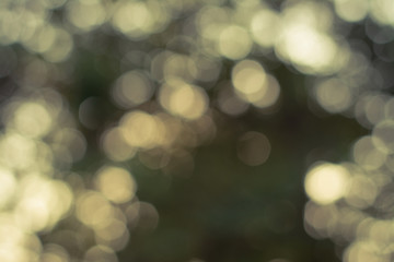 Bokeh background.