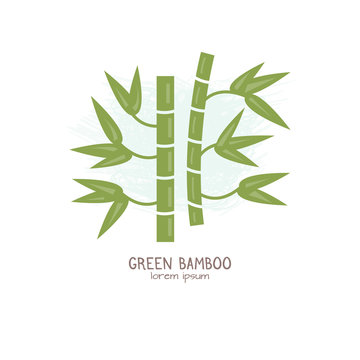 Vector illustration of Bamboo stem