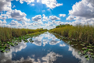 florida everglades view panorama landscape