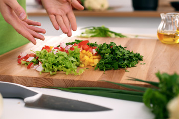 Close up of  woman's hands cooking in the kitchen. Housewife offering ​​fresh salad. Vegetarian and healthily cooking concept