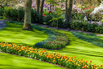 Obraz premium Beautiful garden in spring. Colorful flowers and blossom