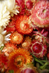 Suszki © Piotr Ciździel