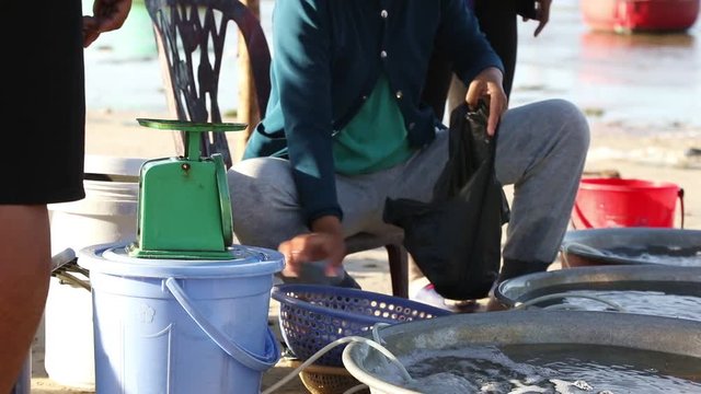 Vietnamese woman selling fresh catch seafood on the sea shore, fishing village Mui Ne. Vietnam
