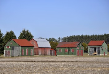 Tobacco curing barns in the Norfolk County, Ontario Canada  © skyf
