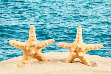 Fototapeta na wymiar Starfish on sandy beach, travel concept. Summer background. Summer concept
