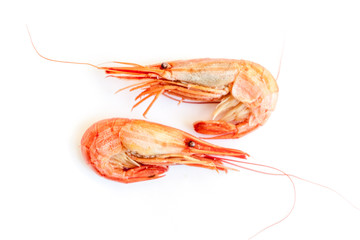 shrimps isolated on white. Steamed  shrimp