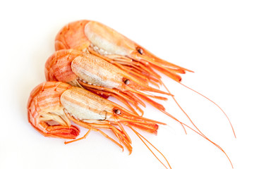 shrimps isolated on white. Steamed  shrimp