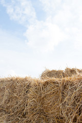 Fototapeta na wymiar Dry straw with blue sky background.