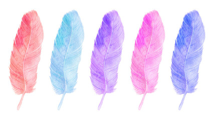 Watercolor colourful feathers