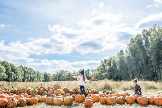 Two young girls in a pumpkin patch with blue sky and forest behind; Bright, Ontario, Canada