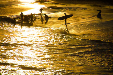 Surfers - Bondi Beach