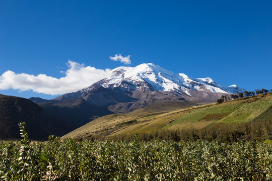 Volcano Cimborazo - Ecuador