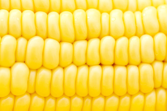 Close up image of fresh corn