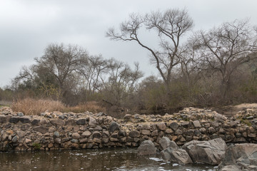 Old Mission Dam with Winter Trees