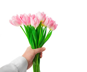 Beautiful Pink tulips flowers in man hand isolated on white background.