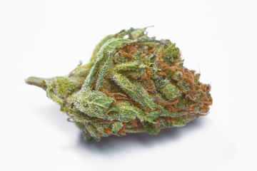Close up of medical marijuana bud