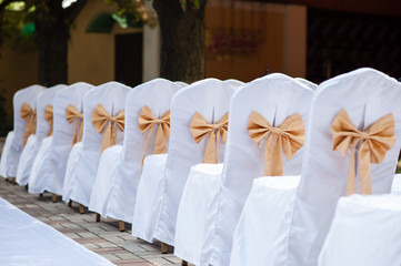 Wedding Chair decoration
