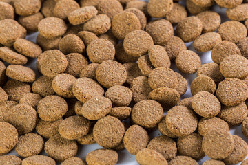 pets food on wooden floor