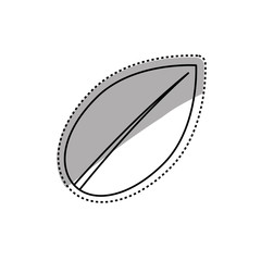 Leaf natural ecology icon vector illustration graphic design