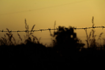 Silhouette barbed wire.