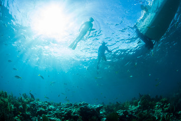 Two snorkelers and tropical fish, Looe Key Reef, Florida Keys, United States of America 