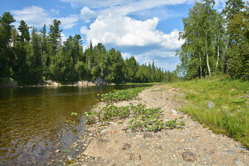 Fototapeta na wymiar Taiga river in the Northern Urals.