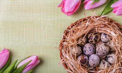 Easter background pink tulips on wooden table, quail eggs, nest.