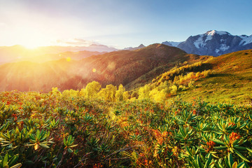 Fototapeta premium Autumn landscape and snow-capped mountain peaks. Carpathians. Ukraine. Europe
