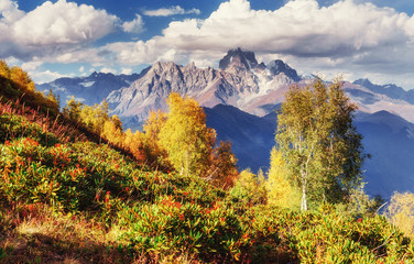 Fototapeta premium Thick fog on the mountain pass Goulet. Georgia, Svaneti. Europe.