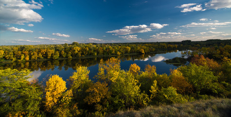 Forest on the banks of large river in autumn