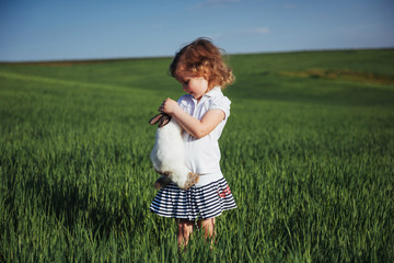 Fototapeta premium baby rabbit in a field of green wheat