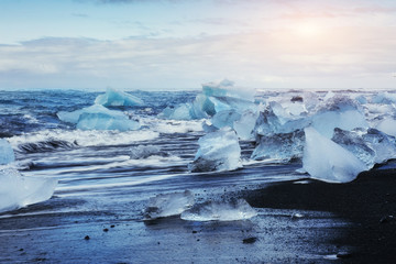 Obraz premium Glacier on black volcanic beach Iceland