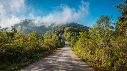Street mountain trees natural scenic in vintage style picture.