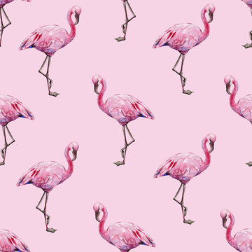 Seamless watercolor illustration of tropical pink flamingo birds. Trendy pattern with tropic summertime motif. Exotic Hawaii art background. Design for fabric and decor.