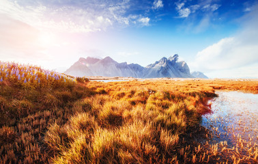 The picturesque landscapes forests and mountains of Iceland