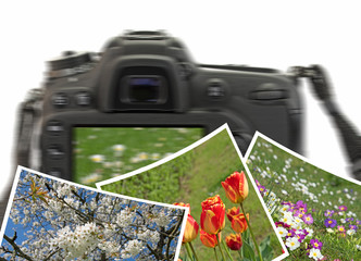 Fototapety na wymiar - Fototapeta24.pl