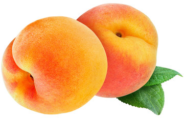 peach isolated on white background