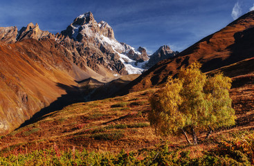 Autumn landscape and snowy peaks in the sun.