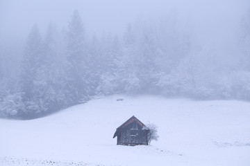 old wooden hut during frosty foggy morning