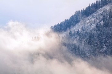 mountain in morning fog