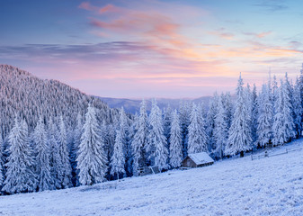 Fototapeta premium Cabin in the mountains in winter. Mysterious fog. In anticipatio