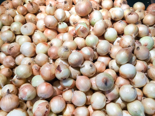 a large group of fresh onions