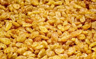 Raisins yellow closeup background. Heap of shiny golden yellow raisins dried fruit.