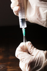 Syringe and vial in hands