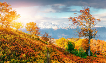 Fototapeta premium mountain range in the Carpathian Mountains in the autumn season.