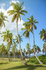 Fototapeta premium Palm forest. Coco palm trees with green leaves on sunny blue sky background