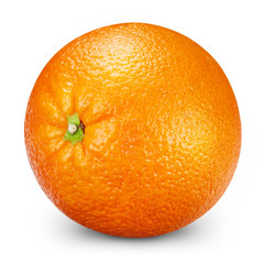 Fresh oranges isolated