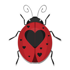 Heart Ladybug