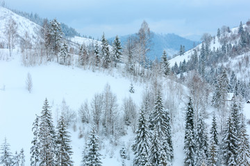 Winter Carpathian Mountains landscape.
